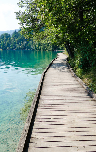 One portion of the path around Lake Bled.