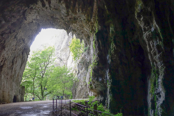 A view of the exit from the caves. The only picture we were allowed to take from inside.