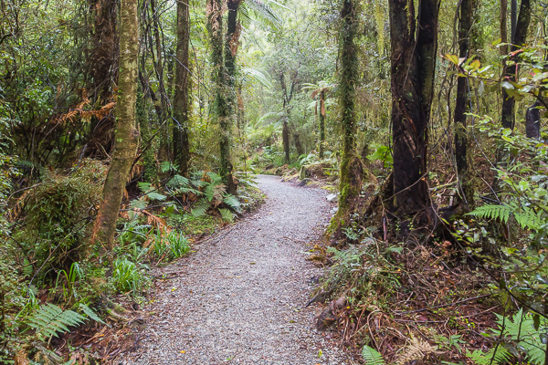 The path to the gorge is gorgeous as well. See what I did there?