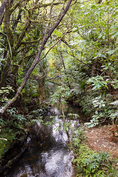 The scenery at the end of the hike could not be more different from that of the beginning or middle.