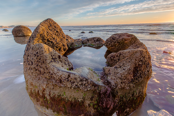 We just couldn't pass up the opportunity to see things like these Moreaki Boulders. 