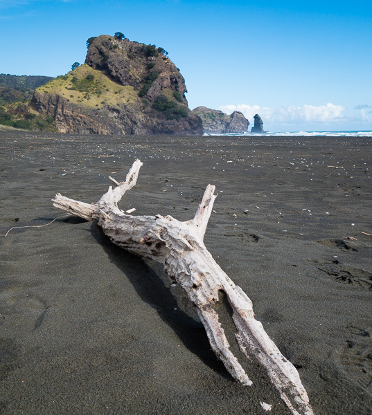 Piha Beach with Lion Rock in the background. 