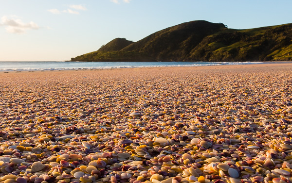 The beach that we had all to ourselves at Spirits Bay. 