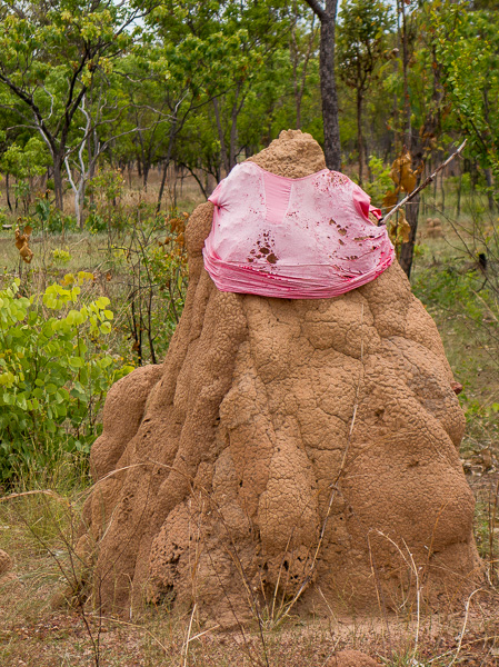 One of the thousands of "Termite Mound People" we passed.