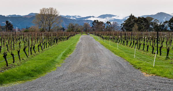 There were vineyards as far as the eye could see!