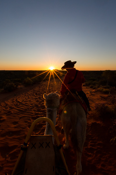 Sunset Camel Ride in Uluru, I don't think it could've been prettier. 