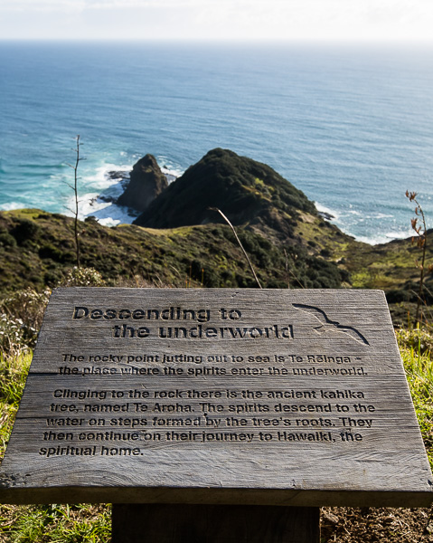 A view from Te Reinga. If you look closely you can see the tree growing out of the rocks in the distance. 