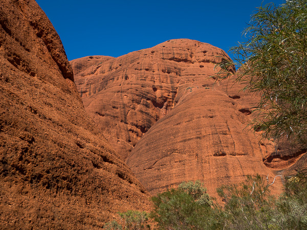 A view of the huge domed rock formations that make up Kata Tjuta.