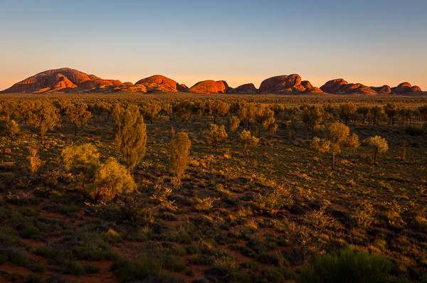 Kata Tjuta glowing at sunrise. 