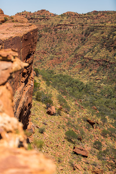 View into the canyon from the rim walk. 