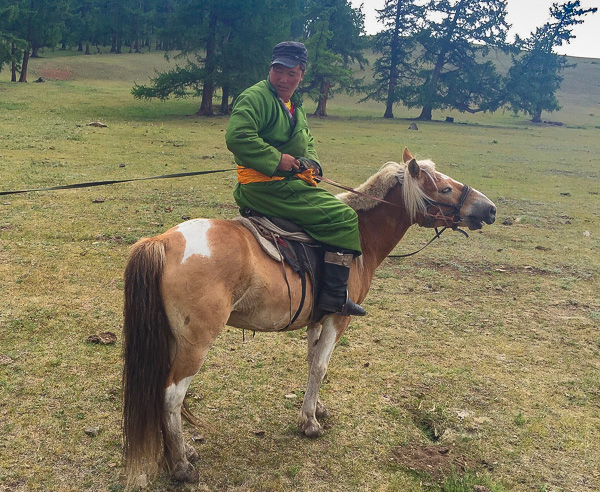 An example of the tight lead rope on Ben's horse.